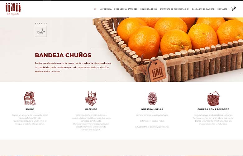Hostito - Sitio web desarrollado en plataforma WooCommerce para venta en línea y modulo de pago con sistema flow.cl.